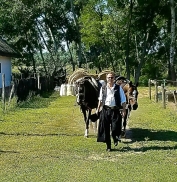 Magyar Cowboy